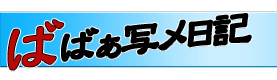 写メ日記